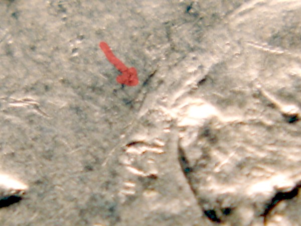 1971-D-